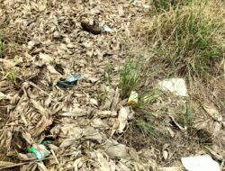 Diduga Gunakan Dana CSR Kebun Jagung, PT BTN Tuai Sorotan Publik