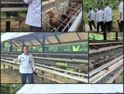 Lapas Lubuk Basung Resmikan Usaha Peternakan Ayam Petelur 