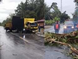BPBD Agam Evakuasi Pohon Tumbang, Warga Pertanyakan Kesiapsiagaan Pemerintah