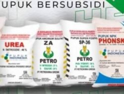 Kebijakan HET Bupati Agam Diduga Picu Penyaluran Tak Merata