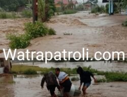 Banjir Besar Menerjang Salayo, Kekuatan Air Menggulung Kabupaten Solok