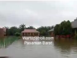 22 Sekolah Lumpuh Diterjang Banjir, Pasaman Barat dalam Duka