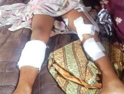 Buaya Kembali Menyerang Anak – Anak Di Pantai Air Bangis