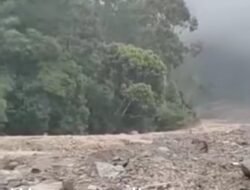 Banjir Bermaterial Kayu dan Batu Kembali Terjang Sungai Batang Tumayo, Warga Diminta Siaga