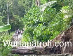 Hujan, Tanah, dan Sunyi yang Terbelah, “Agam Kembali Dikepung Bencana”