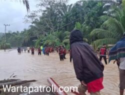 Muaro Kandang Terendam Banjir, Arus Lintas Padang – Pasaman Lumpuh