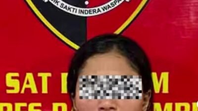 IRT Di Payakumbuh Jual Anak Kandung di Aplikasi michat, Untuk Hubungan Seksual