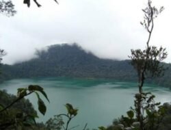 Danau Laut Tinggal, Keindahan Alam yang Misterius di Pasaman Barat
