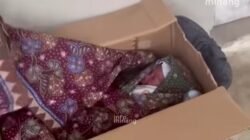 Bayi Perempuan Ditemukan Terlantar dalam Kardus di Kawasan Samsat Bukittinggi