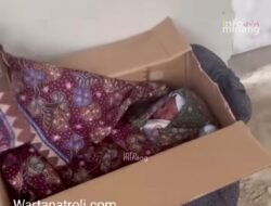 Bayi Perempuan Ditemukan Terlantar dalam Kardus di Kawasan Samsat Bukittinggi