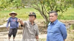Bupati Agam Sambut Kunjungan Staf Ahli Kementan, Tinjau Rehabilitasi 69 Hektar Lahan Terdampak Bencana
