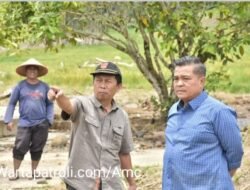 Bupati Agam Sambut Kunjungan Staf Ahli Kementan, Tinjau Rehabilitasi 69 Hektar Lahan Terdampak Bencana