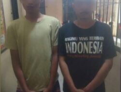 Bawa 21 Kg Ganja Kering Dua Kurir Di Pasaman Dibekuk Polisi