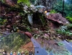 Kelok 44 Makin Mengkhawatirkan “Longsor Dan Pohon Tumbang Perparah Kondisi Usai Bencana Hidrometeorologi