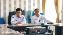 Dugaan Penebangan Pohon di Hutan Kota Pasaman Barat Perlu Diaudit, Jika Langgar Aturan Terancam Sanksi Pidana