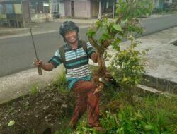 “Era Darwis” Konsisten Lestarikan Seni dan Budaya Minang