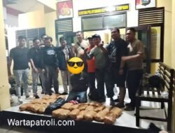 Jajaran Polsek Ranah Batahan Pasaman Barat Gagalkan Penyelundupan 30 Kg Ganja Kering Siap Edar